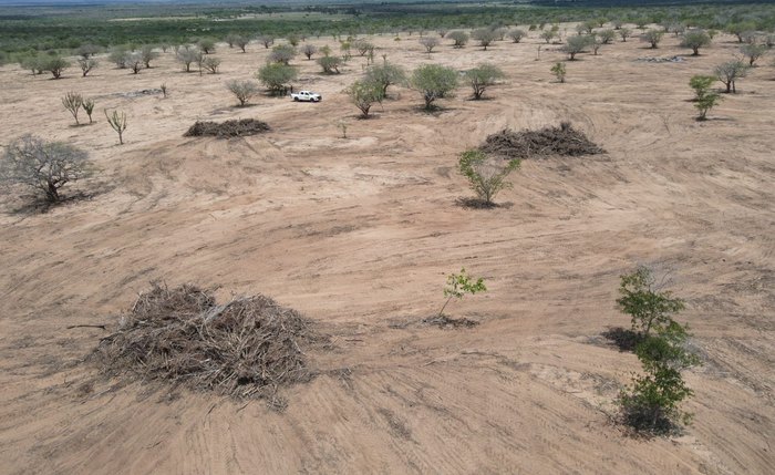 Área desmatada em bioma no município de Mata Grande