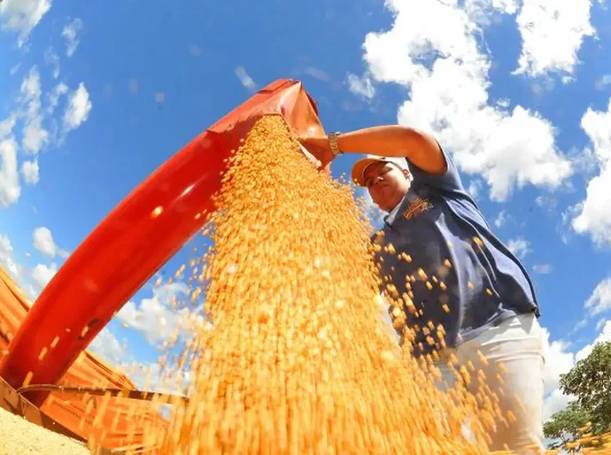 IBGE prevê safra recorde de 346 milhões de toneladas em 2025