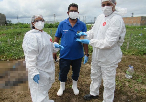 Ossada humana carbonizada encontrada em canavial é identificada
