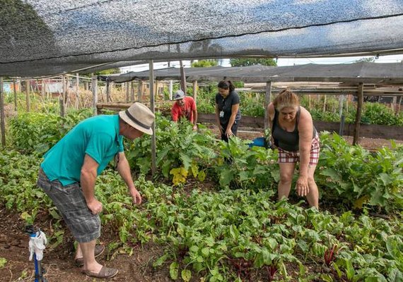 Uso de terrenos da União por hortas comunitárias será votado em Plenário