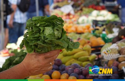 Garantia-Safra: agricultores familiares receberão o recurso do garantia-safra em julho