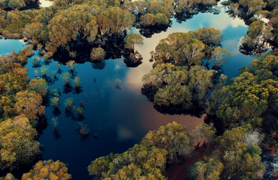 Revista Time destaca Pantanal entre os 50 melhores lugares do mundo em 2023  