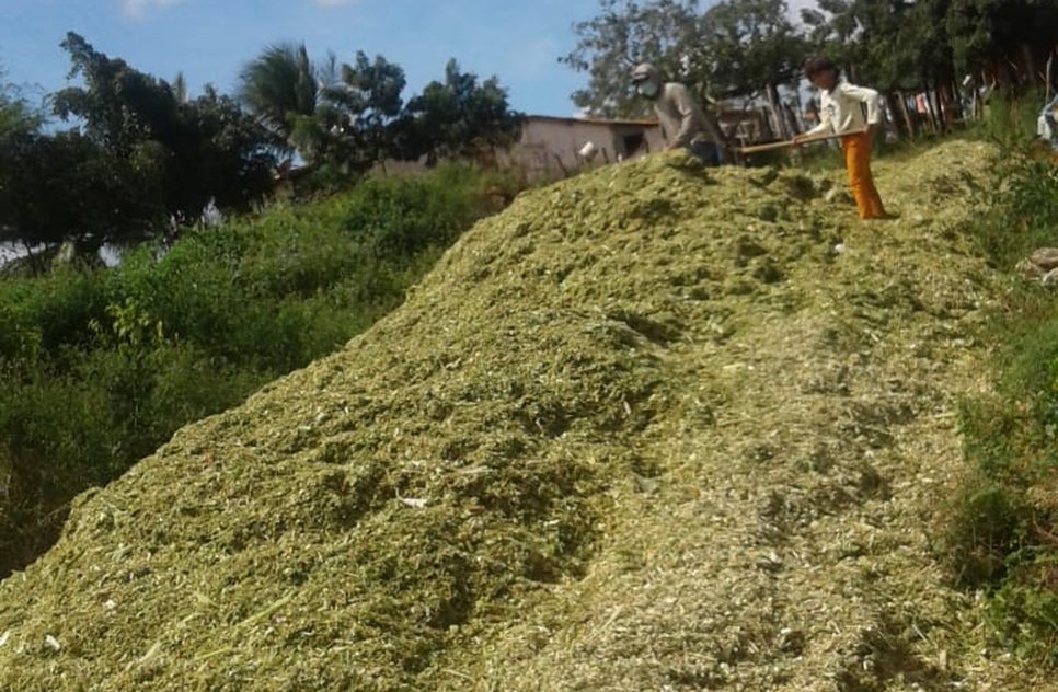 PRODUTORES RURAIS / Foto: Ascom/Seagri