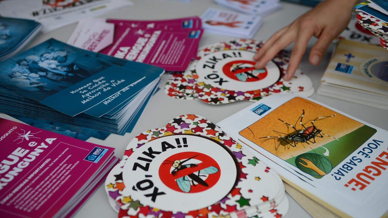 Inicialmente ignorado, há 10 anos o zika vírus chegava nas terras e nas veias sanguíneas brasileiras