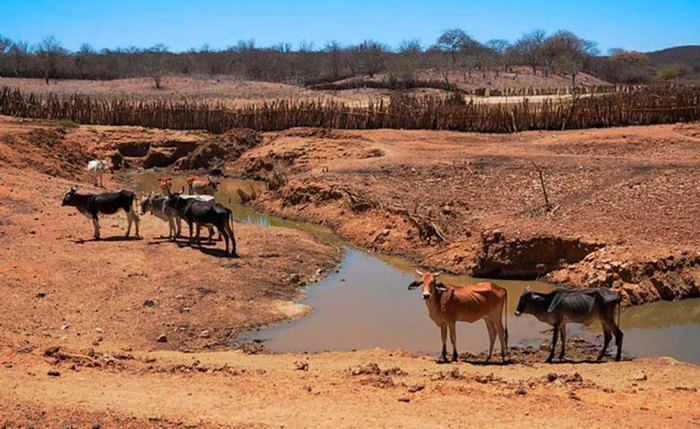Situação de seca no Piauí