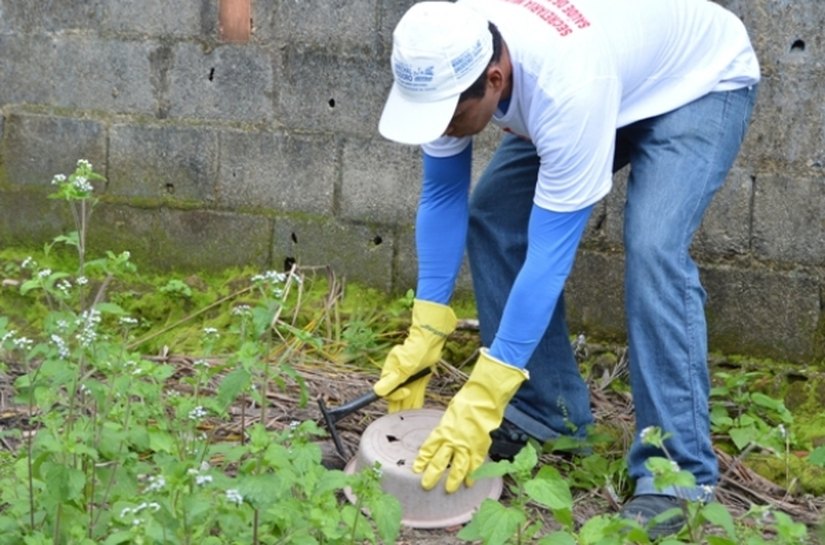 Sesau avalia ações de combate ao mosquito Aedes aegypti em AL