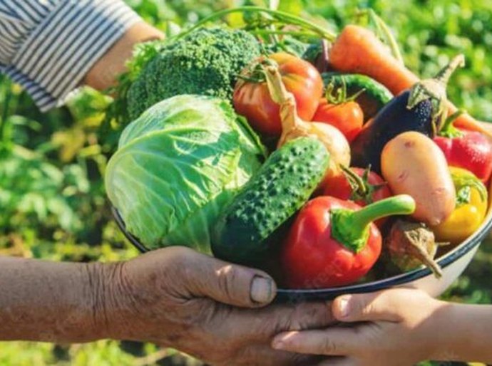 MPAL reforça importância de adesão de municípios ao Sistema Nacional de Segurança Alimentar e Nutricional