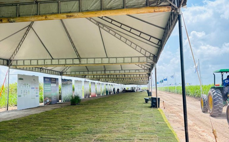 Cana Show Inovação acontece nesta quinta (25) em São Miguel dos Campos