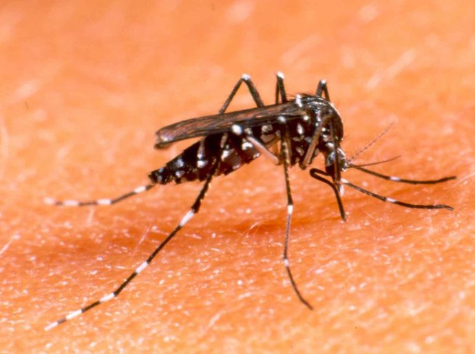 Sesc participa do Dia D de Combate ao Aedes aegypti em Alagoas na sexta, 25