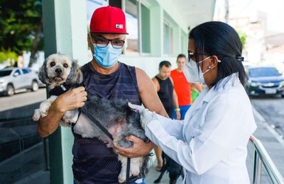 Maceió inicia Campanha de Vacinação Antirrábica nos bairros da parte baixa