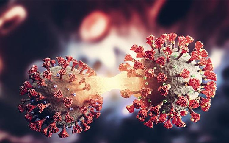 Em meio a sinais de aumento da Covid, pesquisadores se preparam para o 'novo normal'