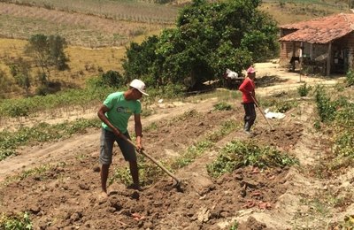 Mais de 80% dos agricultores familiares de Alagoas renegociaram suas dívidas