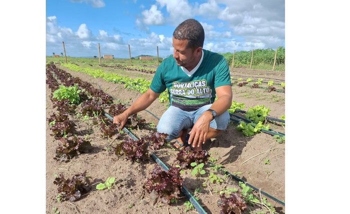 Agricultores em municípios alagoanos