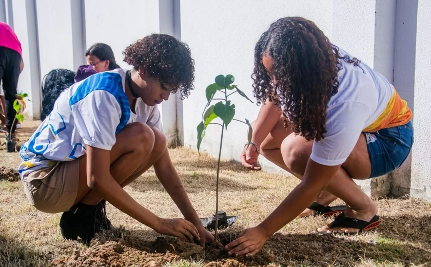 Programa de arborização do IMA contabiliza mais de 1,6 mi de mudas plantadas