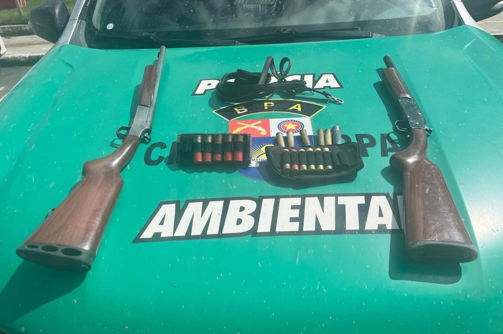 Jornalismo