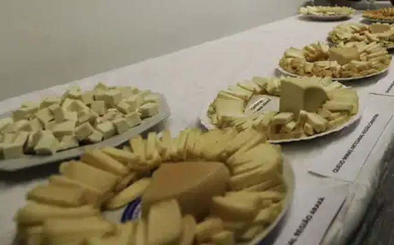 Queijo sem lactose vence concurso de melhor queijo e produtos lácteos