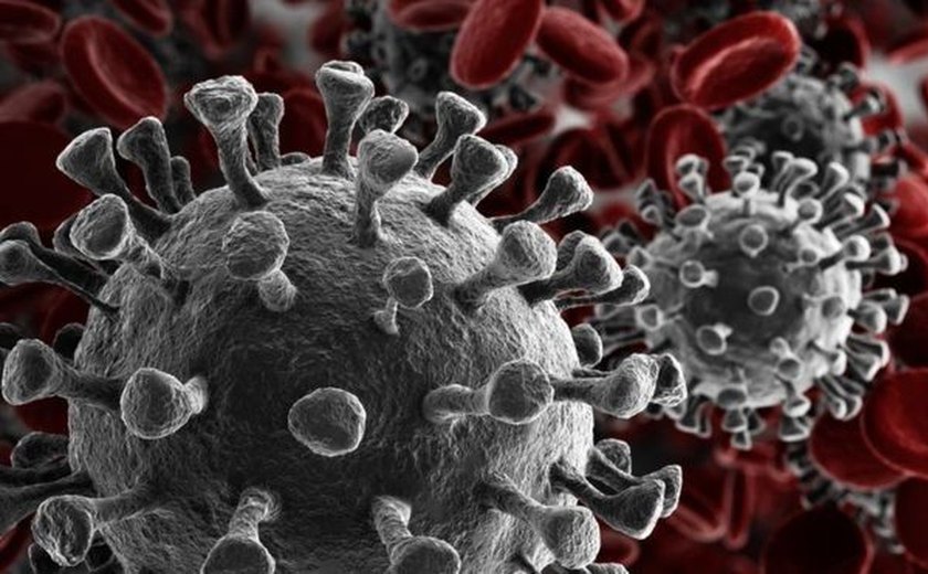 Pesquisadores de todo país buscam teste para o coronavírus