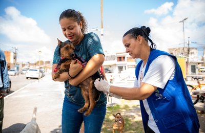 Saúde de Maceió imuniza mais de 30 mil animais no primeiro dia de vacinação antirrábica