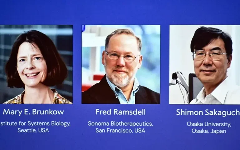 Nobel de Medicina premia pesquisas sobre sistema imunológico