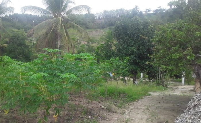 FAzenda Brejo Grande, em Maceió