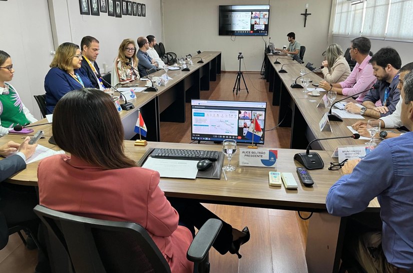 Conselho de Política Energética realiza reunião anual e debate projeto Grande Sertão Transmissão de Energia