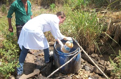 Ácido presente na macaxeira representa riscos à saúde dos trabalhadores das casas de farinha