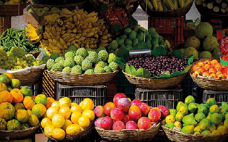 Feira agroecológica do TRT-19 está de volta