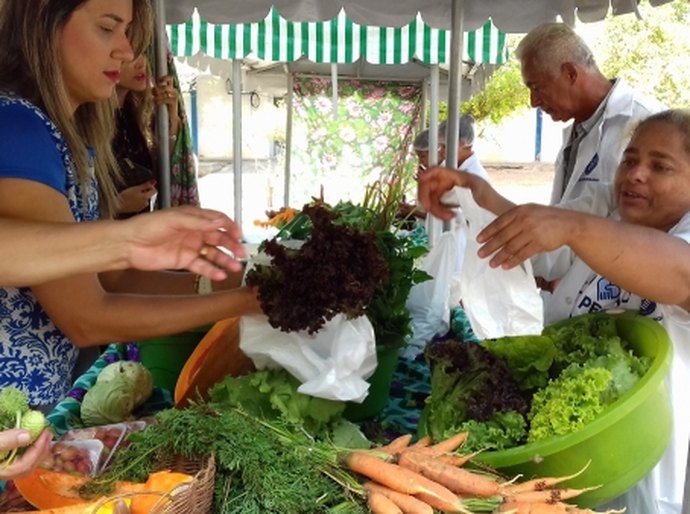 Agricultores de assentamento comercializam produtos sem agrotóxico