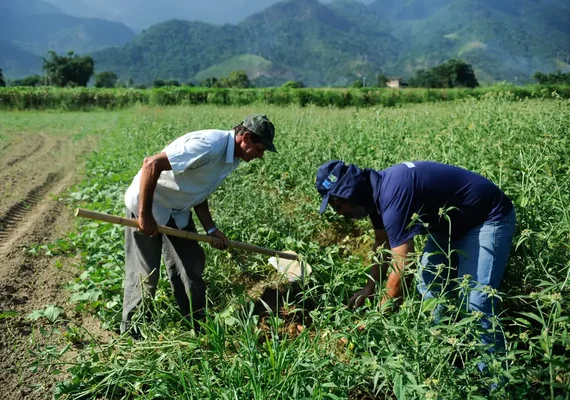 Agricultura familiar: Relatório PPA 2024-2027 traz Programa Agropecuária Sustentável