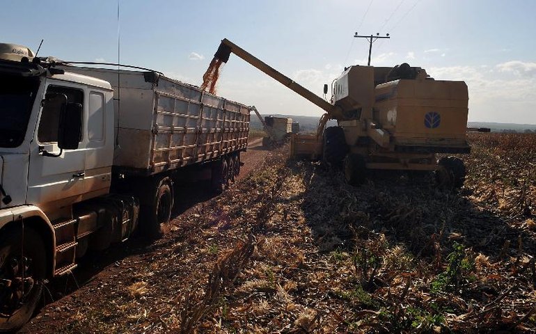 Na rota da soja, assentamentos investem na produção sustentável de hortas e agroflorestas