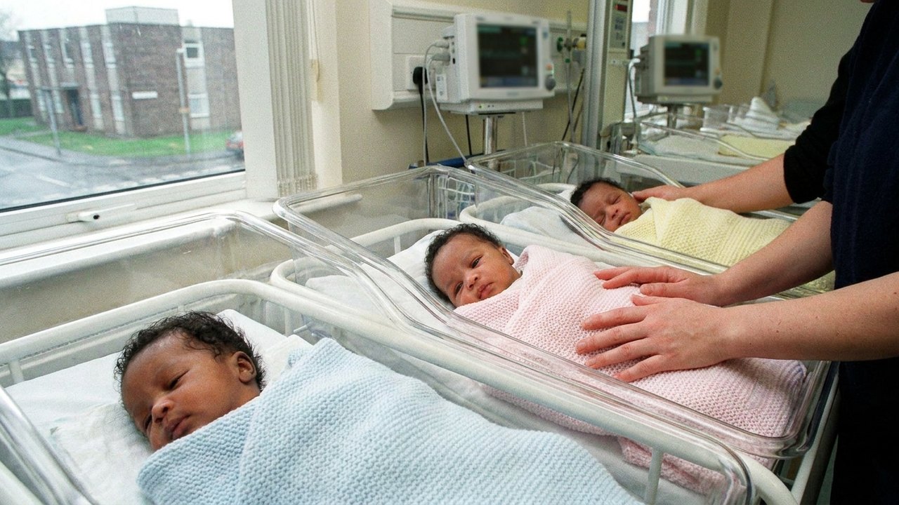 Três irmãos, dois óvulos: conheça a rara condição dos trigêmeos mestiços que nasceram na Inglaterra
