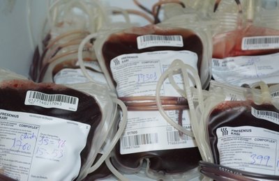 Hemoal não abre neste sábado em razão do Dia do Servidor Público