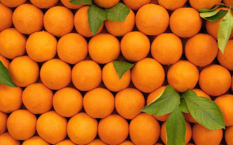 Justiça manda cassar chapa de vereadores em Pacatuba por fraude em candidaturas femininas