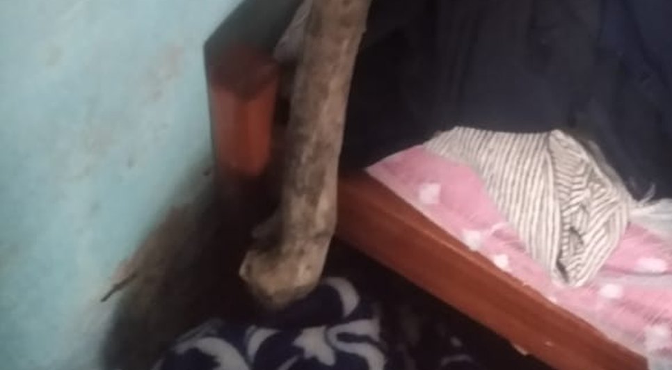 Homem mata mãe idosa a pauladas em Tobias Barreto