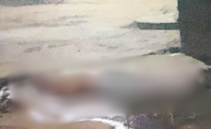 Homem foi morto com 12 tiros na noite de quarta-feira