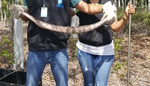 Resgate animais foto ASN