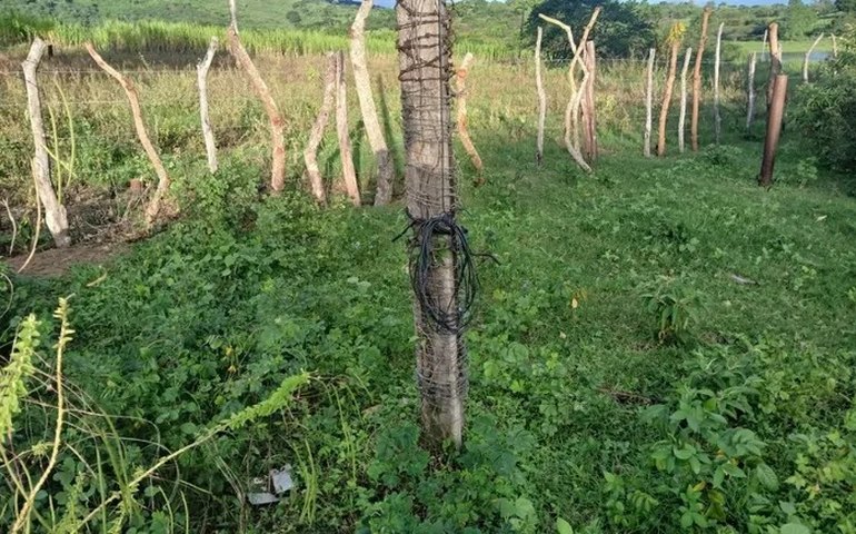 MPF cobra urgência na readequação da rede elétrica em aldeia indígena de Palmeira dos Índios