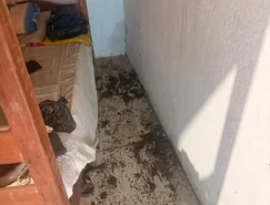MPAL constata maus-tratos em clínica de reabilitação durante ação em Anadia 