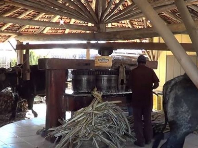 Engenhos de AL garantem turismo de experiência para fugir de clichês