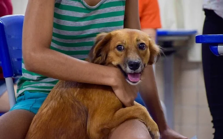 Comissão aprova 15 projetos de homenagens e datas comemorativas