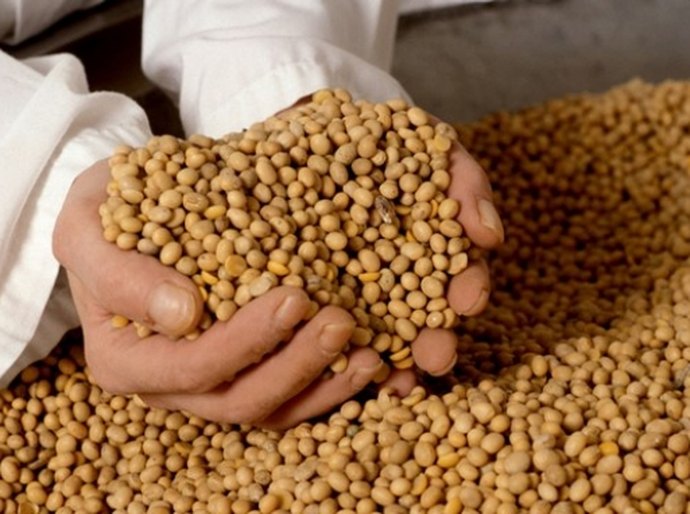 Conselho valida criação de Comissão Estadual de Extensão Rural