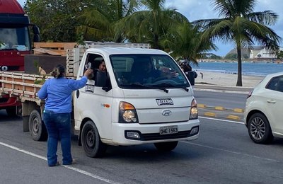 Renasce Salgadinho: Prefeitura distribui mudas de árvores para condutores no Centro de Maceió