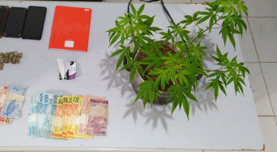 DROGAS SÃO DOMINGOS / Foto: SSP