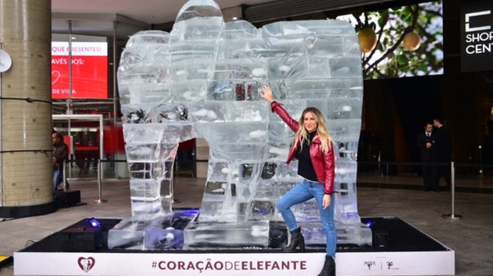 Avenida Paulista ganhou elefante de gelo de quase 3 metros de altura