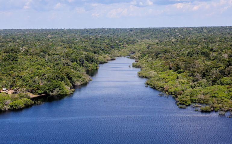 Dia da Amazônia: MIDR impulsiona conservação e crescimento do bioma amazônico