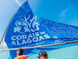 Projeto Corais de Alagoas recebe reconhecimento internacional da Unesco