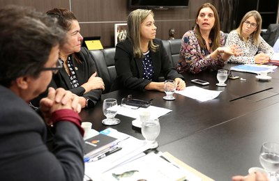 Tutmés Airan e deputadas discutem ações de combate à violência doméstica em Alagoas 