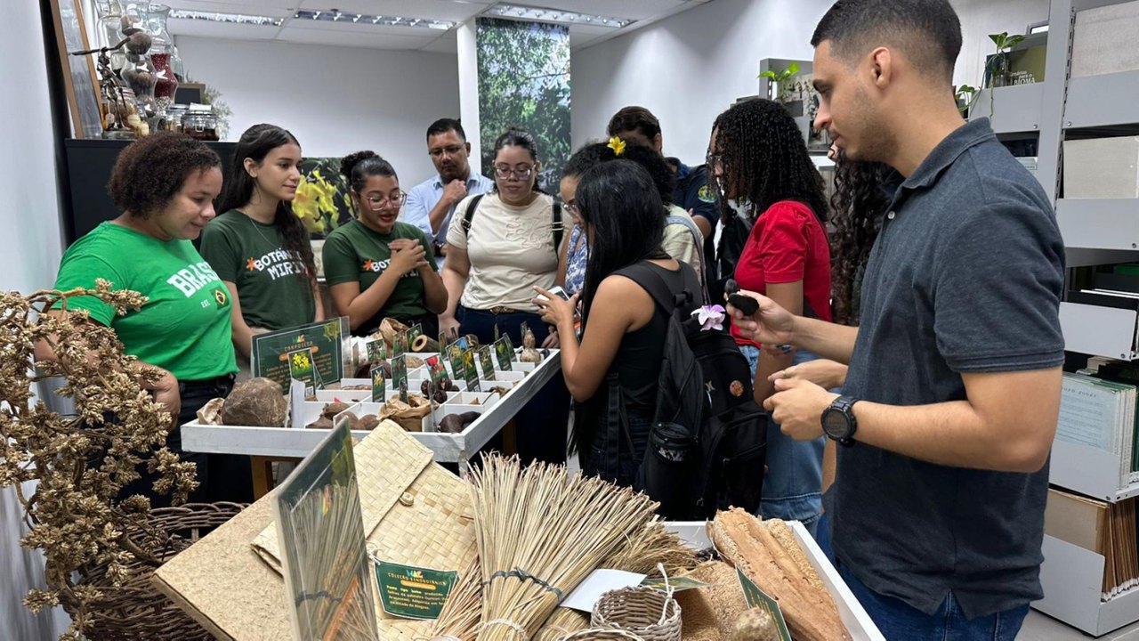 Herbário do IMA encerra programação com destaque para educação científica e representatividade feminina