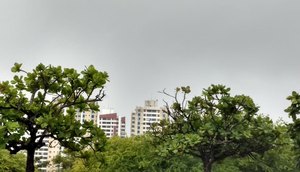 chuva.jpg