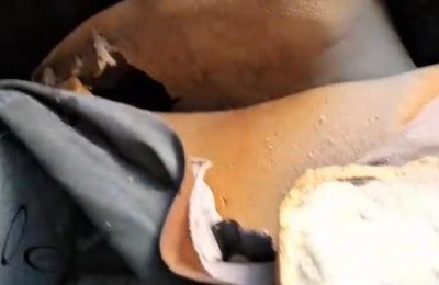 Palmeira: Vandalismo contra ônibus do programa Caminhos da Universidade mobiliza força-tarefa e pode resultar em responsabilização criminal